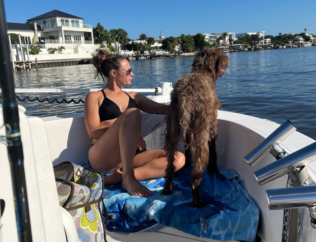 New Smyrna Beach | Dolphin Tours & Family Boat Rides with Captain Q&nbsp;Charters